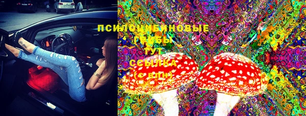 2c-b Зеленодольск
